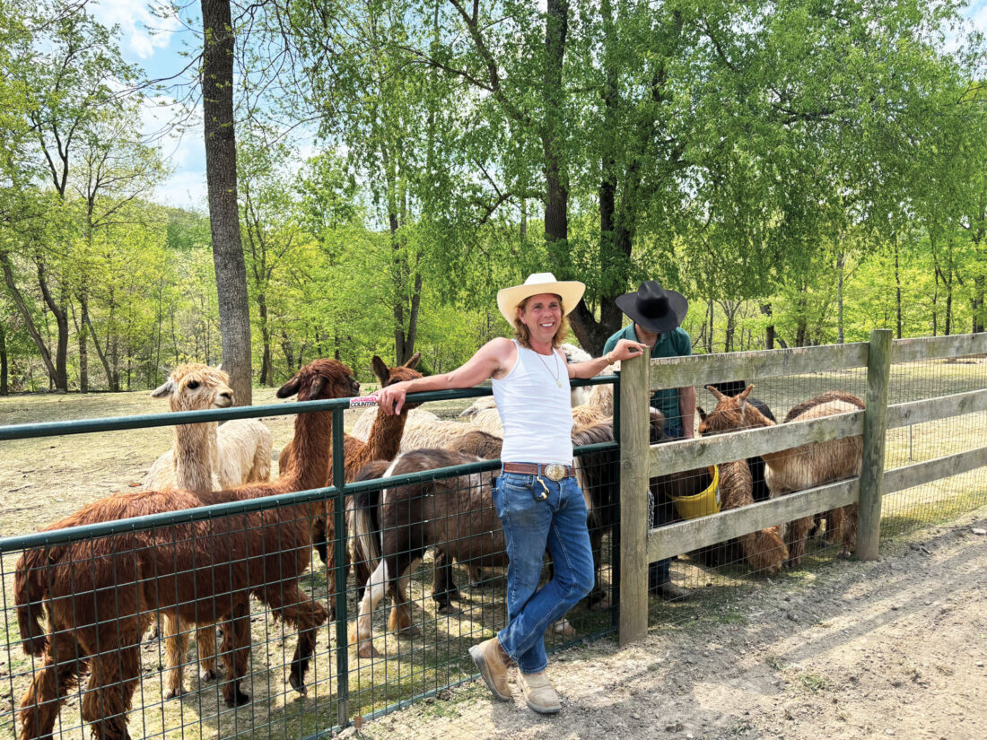 Earl with alpacas — replace with real photo